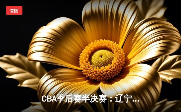CBA季后赛半决赛：辽宁本钢加时险胜广东宏远，赵继伟砍下33分